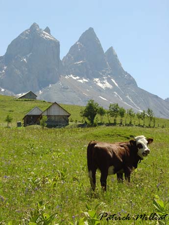 les aiguilles d'Arves