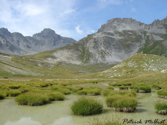 Aout - Vallon de la Sache 